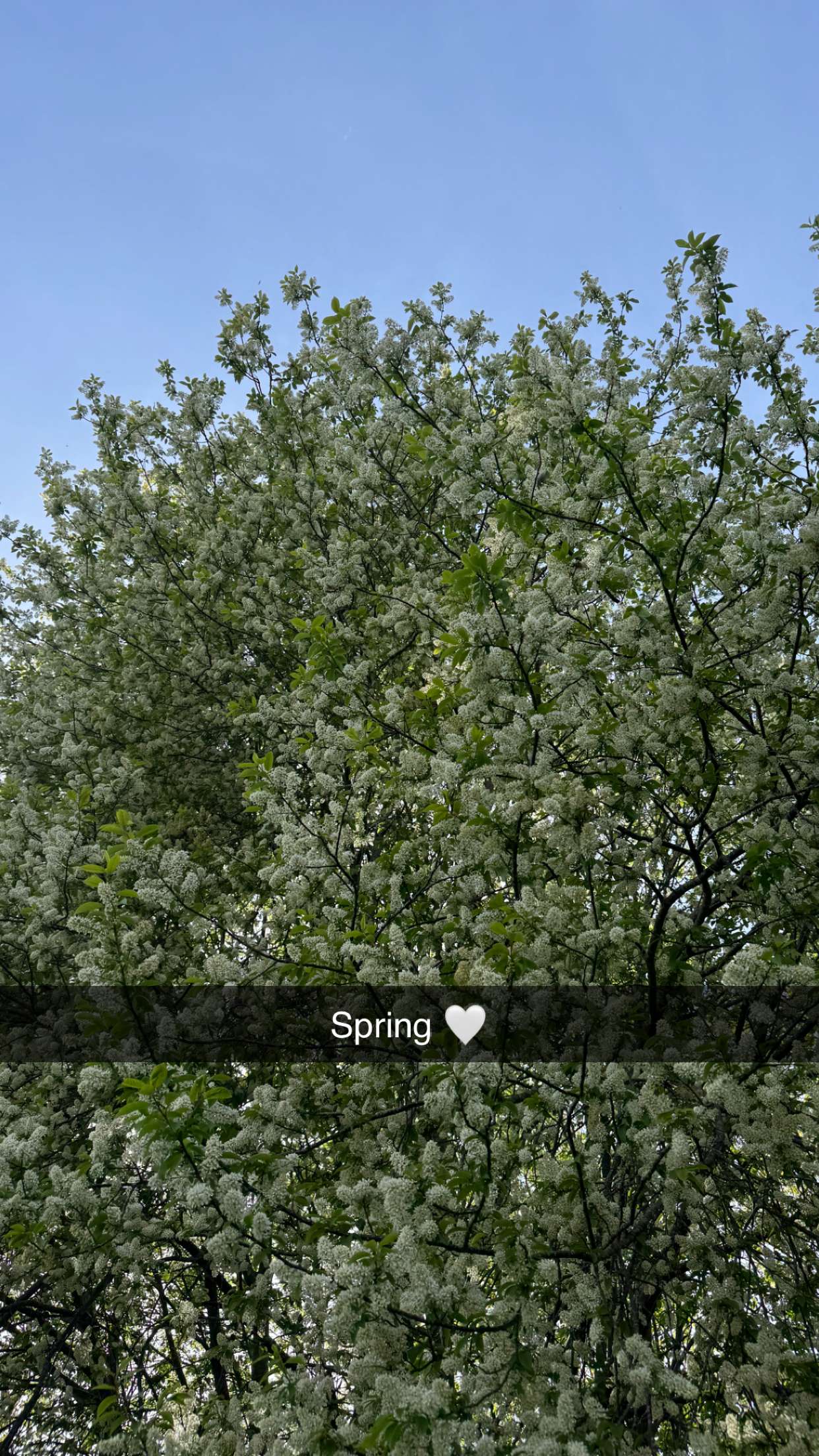 mathilda_bergs snapchat image archive image