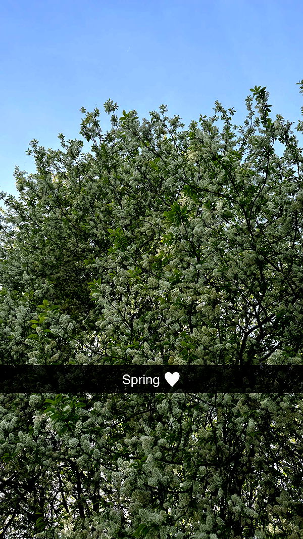 mathilda_bergs image ~ Altpins