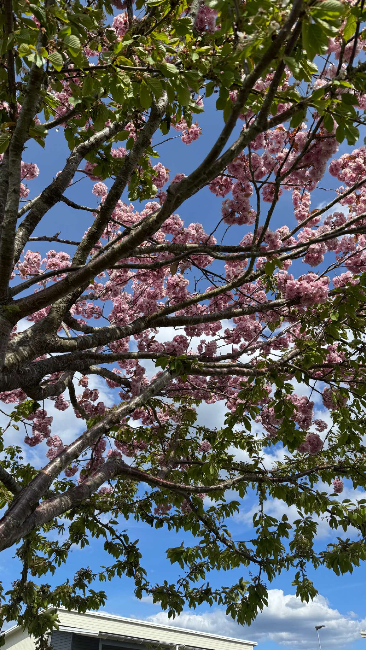 mathilda_bergs snapchat image archive image