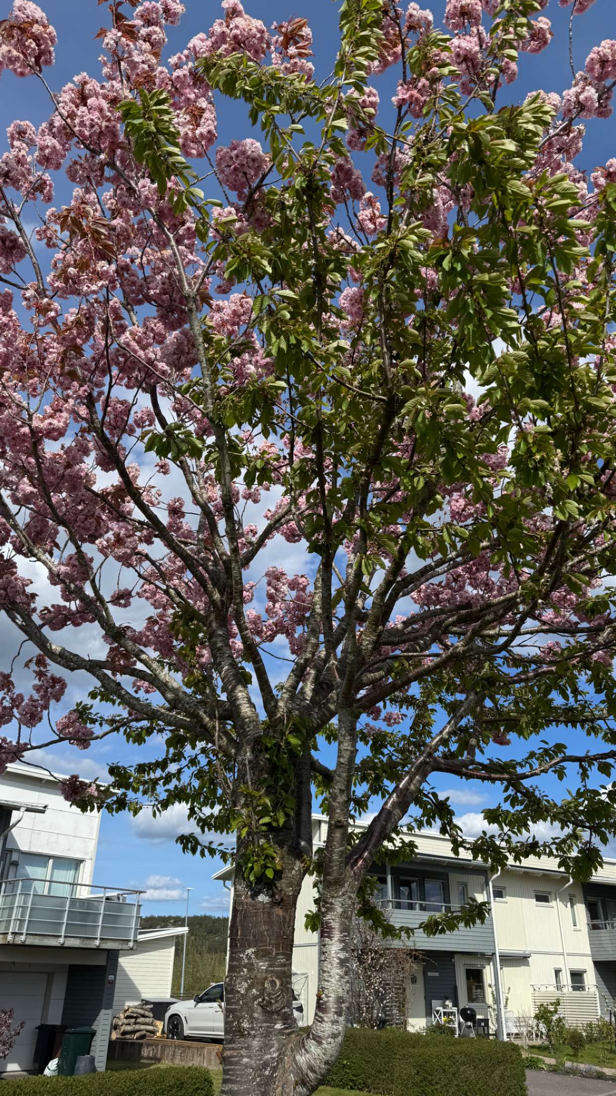 mathilda_bergs snapchat image archive image