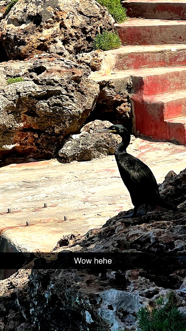 mathilda_bergs image ~ Altpins