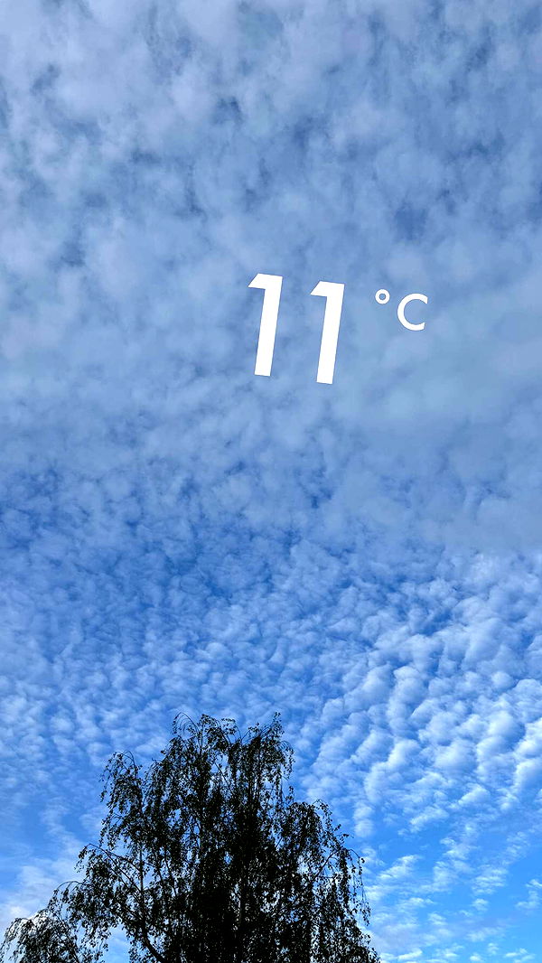 mathilda_bergs image ~ Altpins