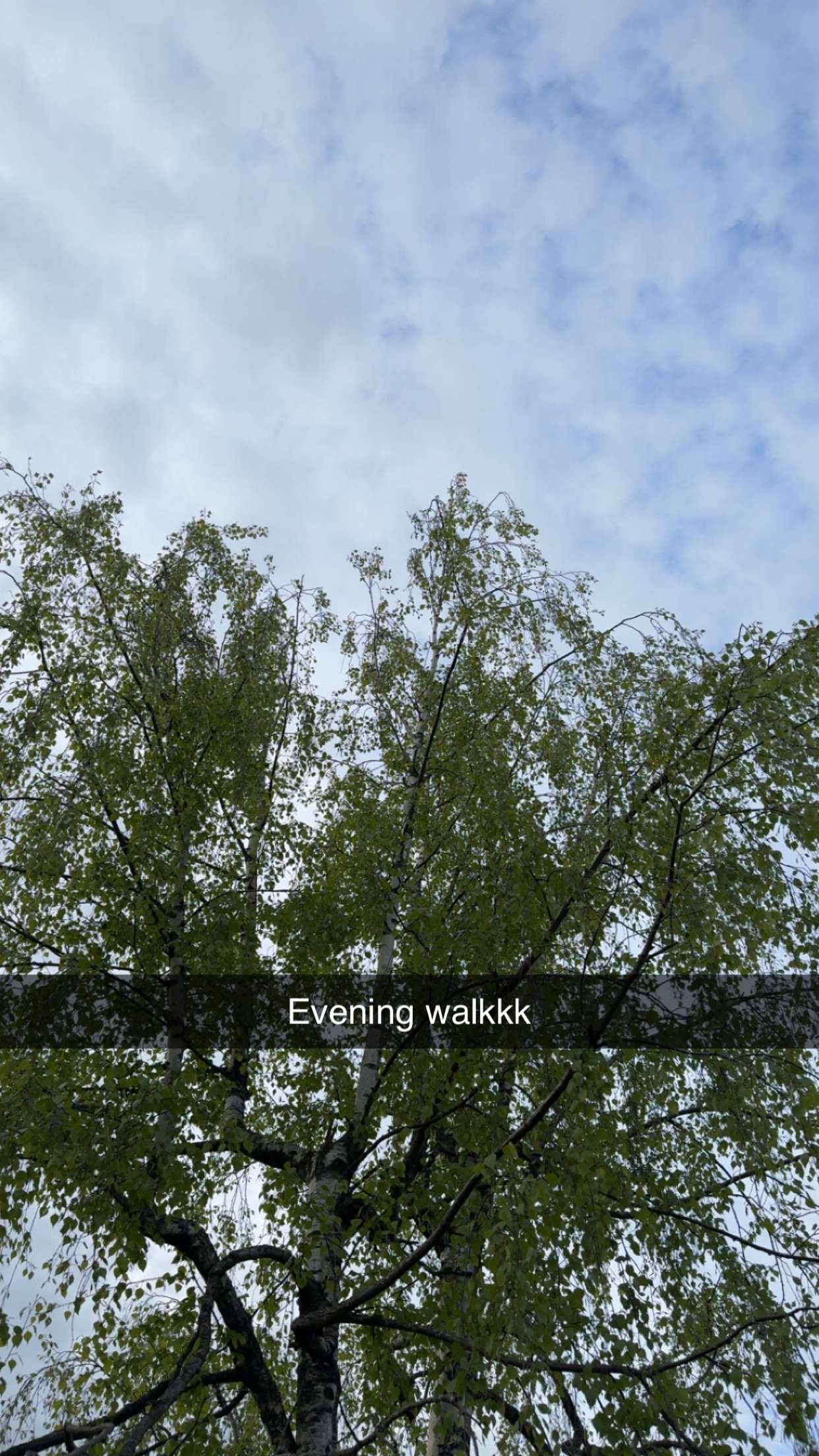 mathilda_bergs snapchat image archive image