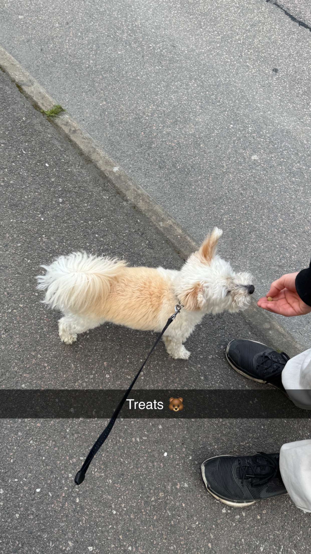 mathilda_bergs snapchat image archive image