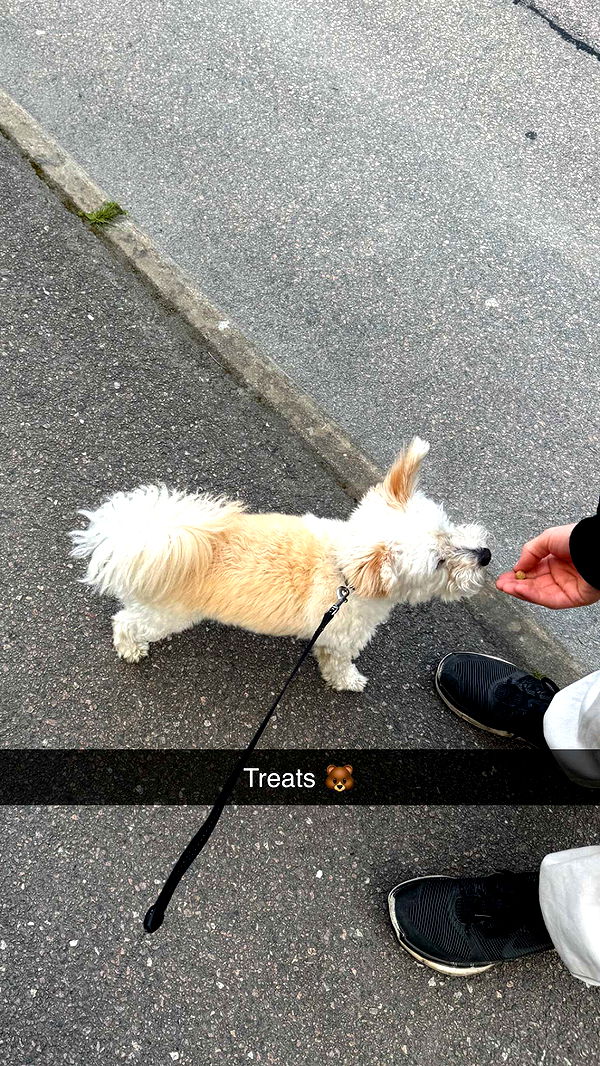 mathilda_bergs image ~ Altpins