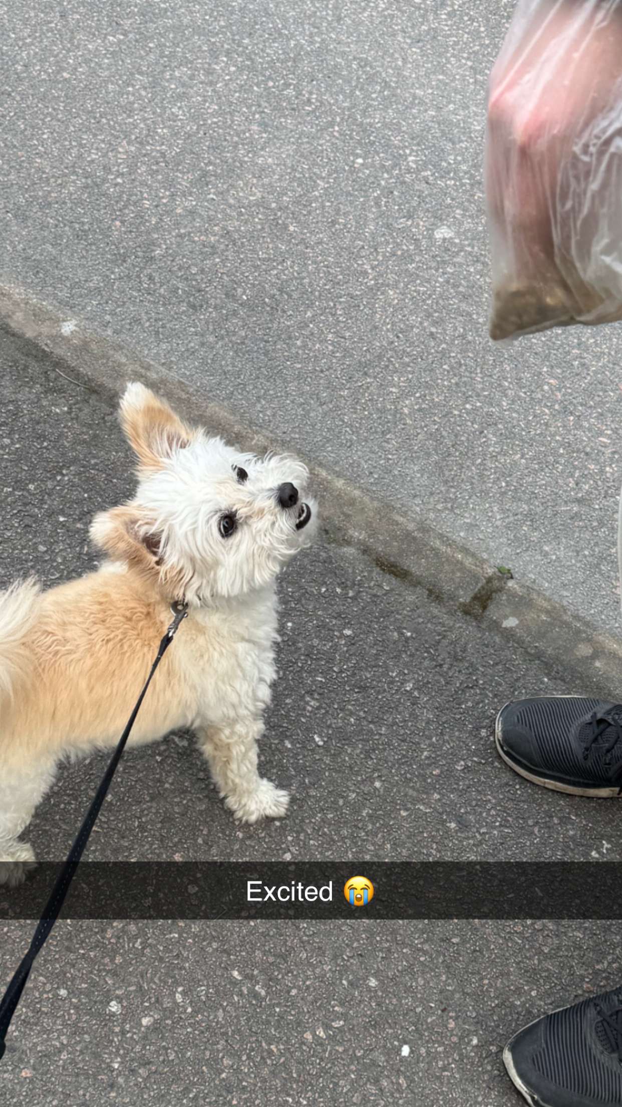 mathilda_bergs snapchat image archive image