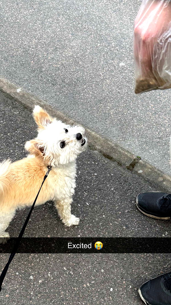 mathilda_bergs image ~ Altpins