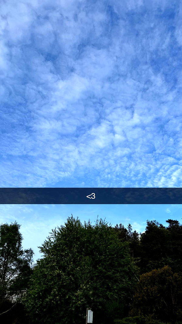 mathilda_bergs image ~ Altpins