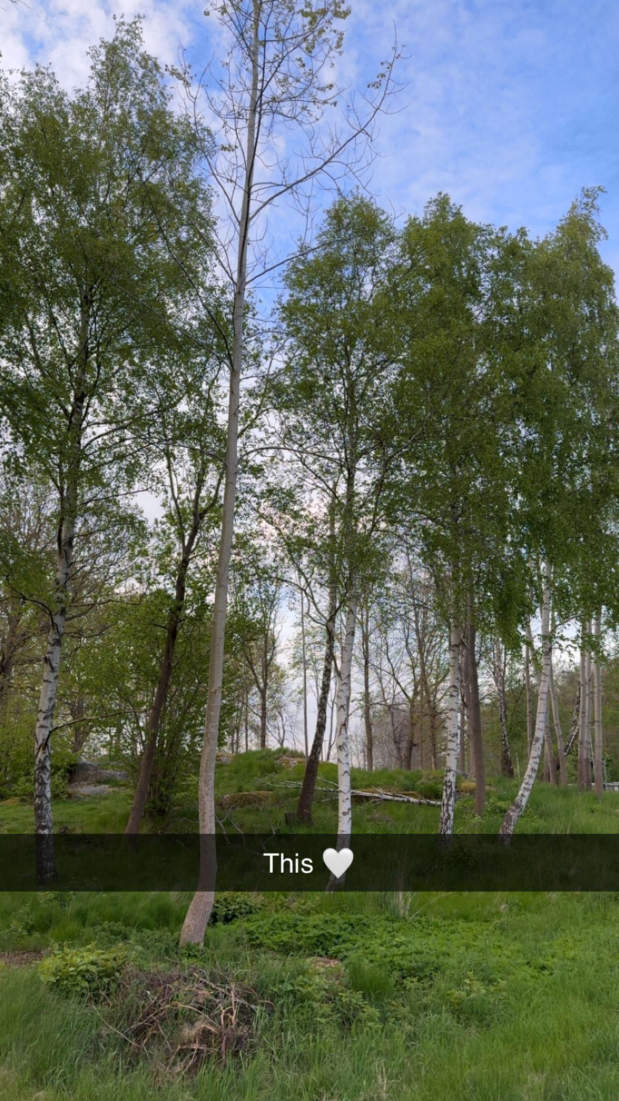 mathilda_bergs snapchat image archive image