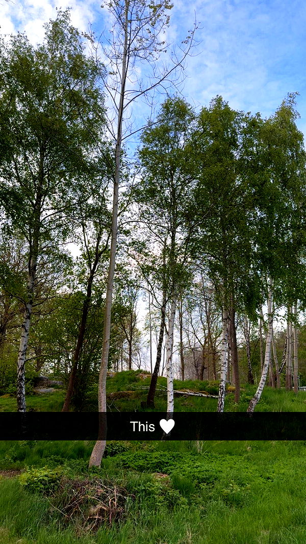 mathilda_bergs image ~ Altpins