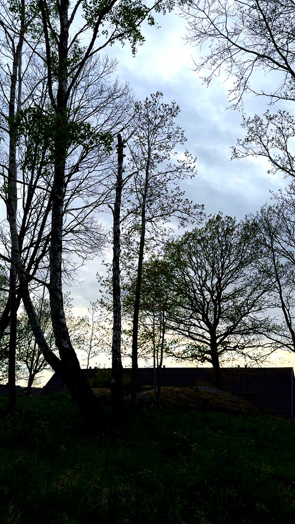 mathilda_bergs image ~ Altpins