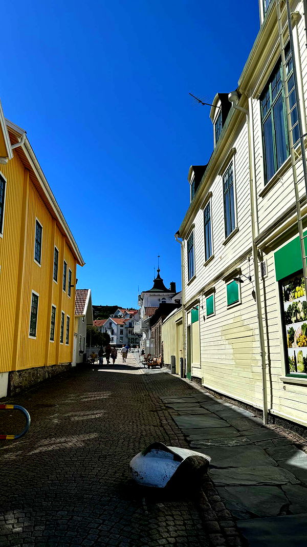 mathilda_bergs image ~ Altpins