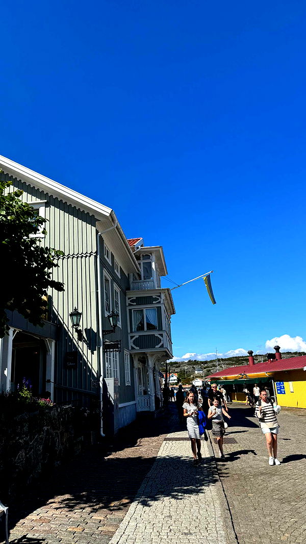 mathilda_bergs image ~ Altpins