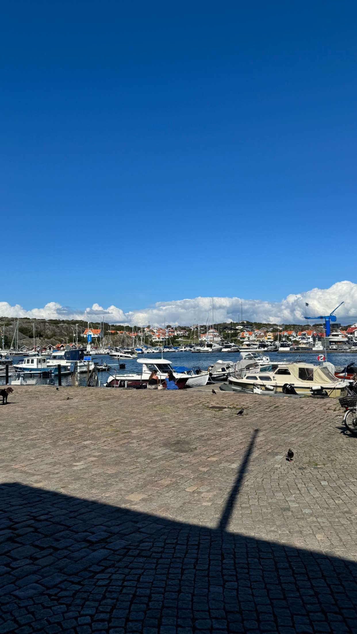 mathilda_bergs snapchat image archive image