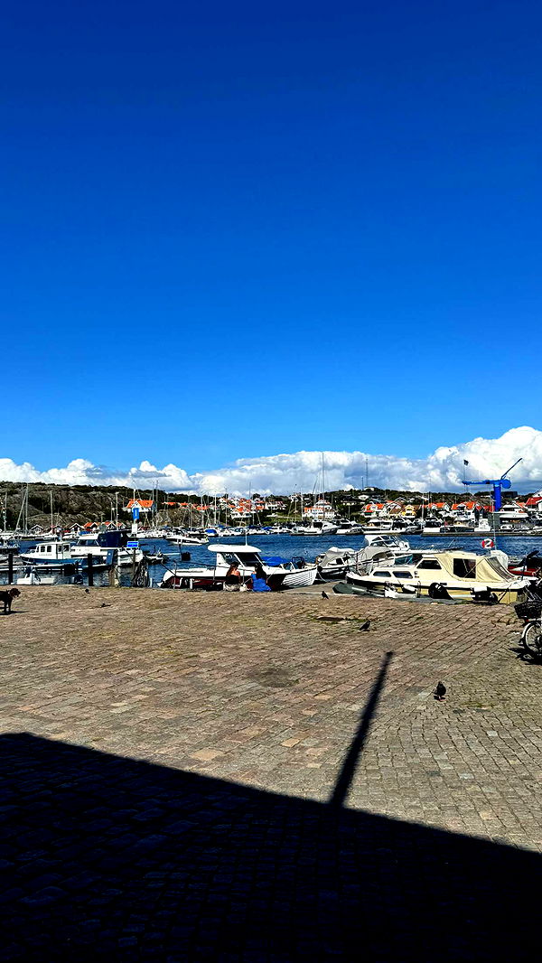 mathilda_bergs image ~ Altpins