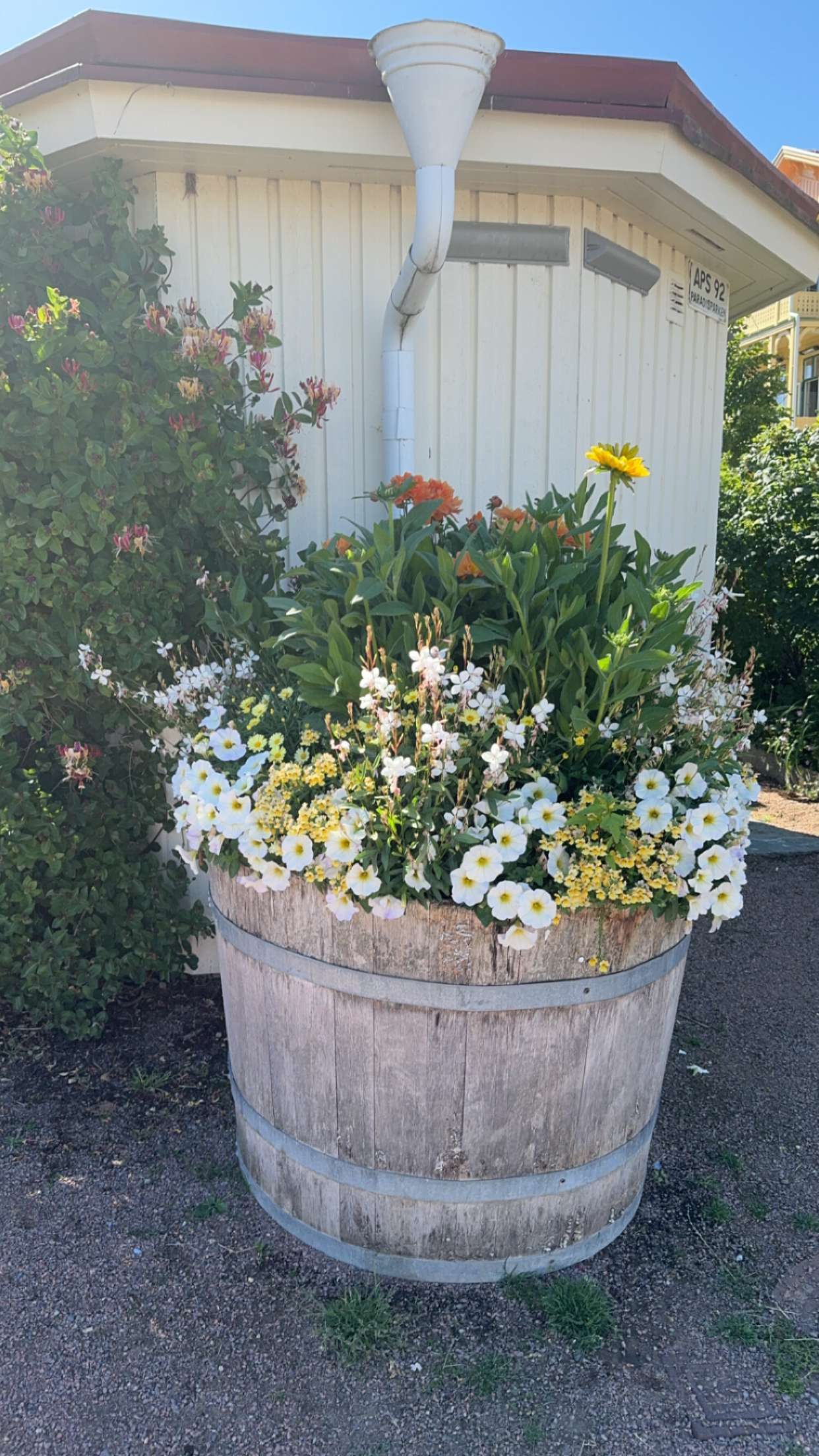 mathilda_bergs snapchat image archive image