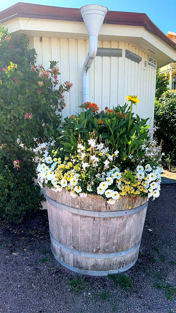 mathilda_bergs image ~ Altpins