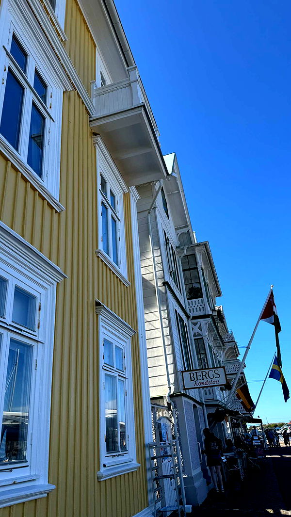 mathilda_bergs image ~ Altpins