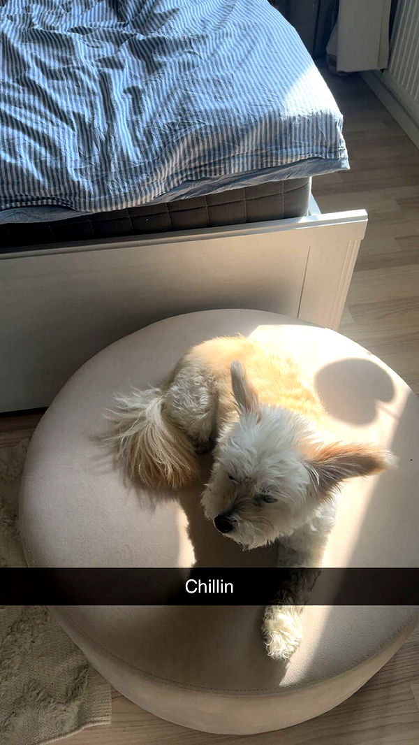 mathilda_bergs image ~ Altpins