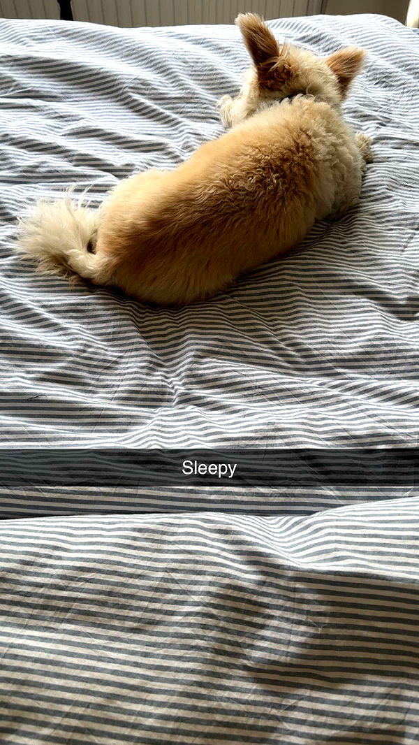 mathilda_bergs image ~ Altpins