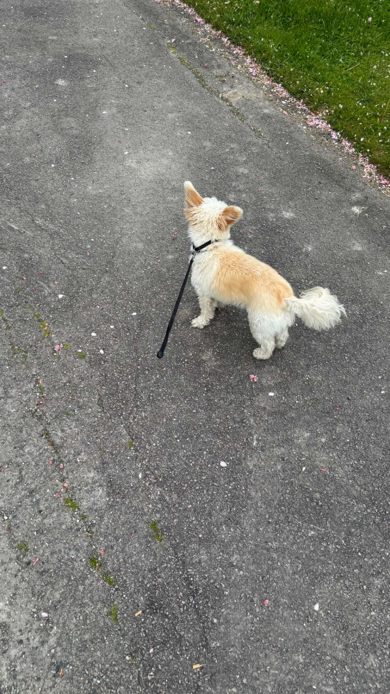 mathilda_bergs snapchat image archive image