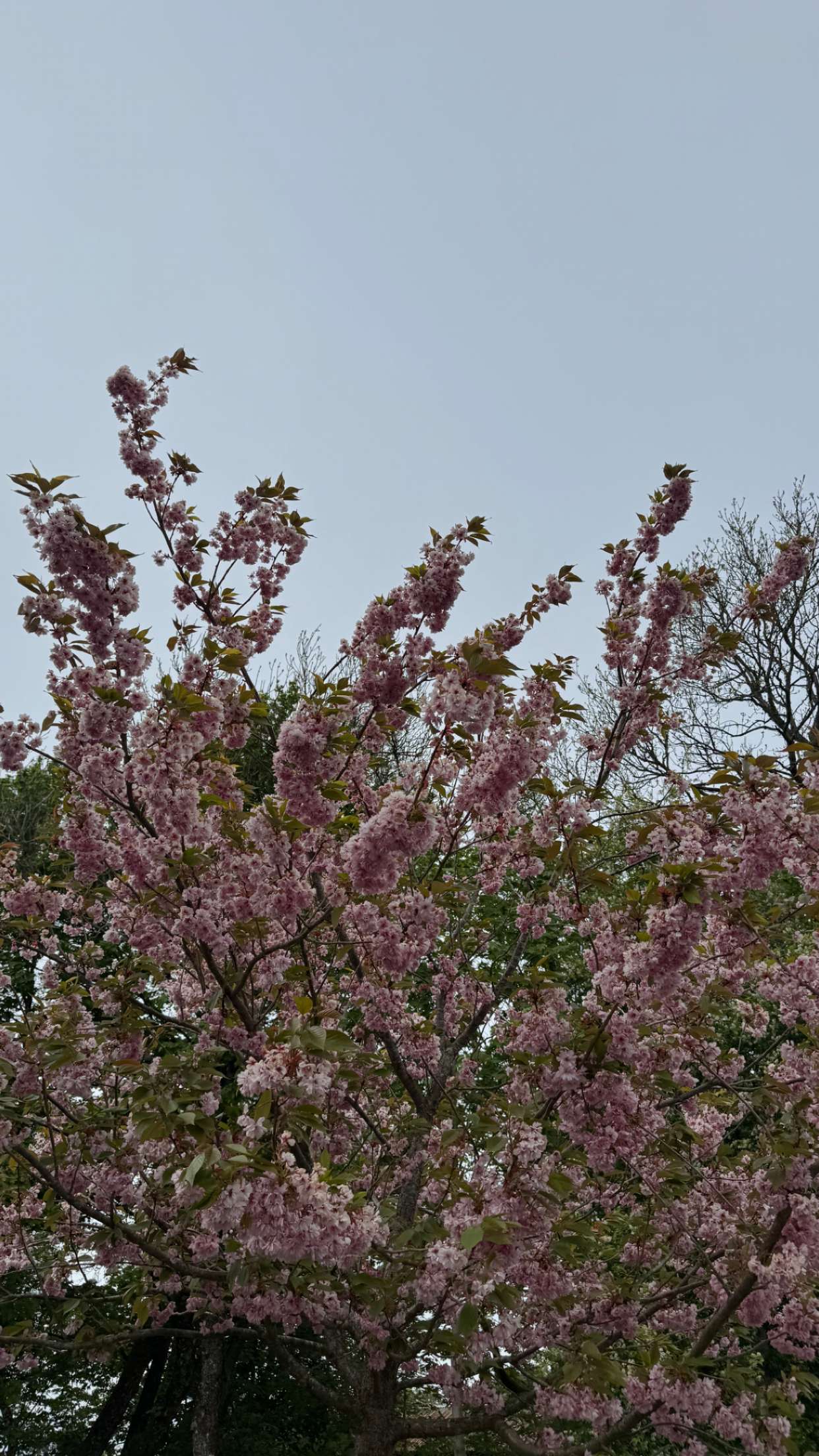 mathilda_bergs snapchat image archive image