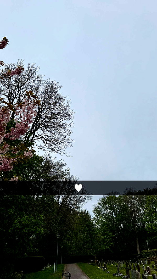 mathilda_bergs image ~ Altpins