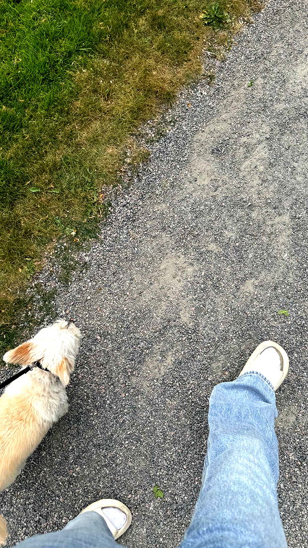 mathilda_bergs image ~ Altpins