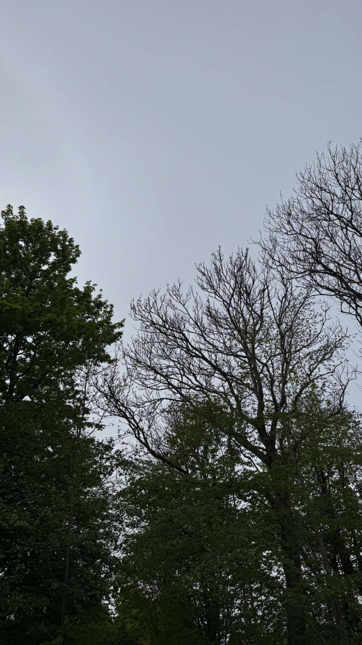 mathilda_bergs snapchat image archive image