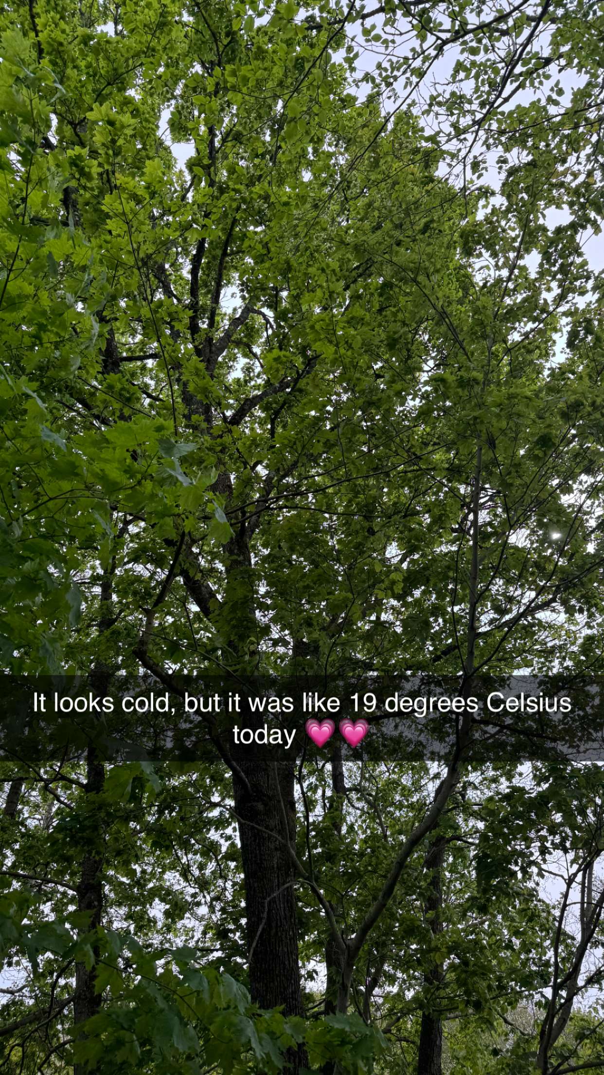 mathilda_bergs snapchat image archive image