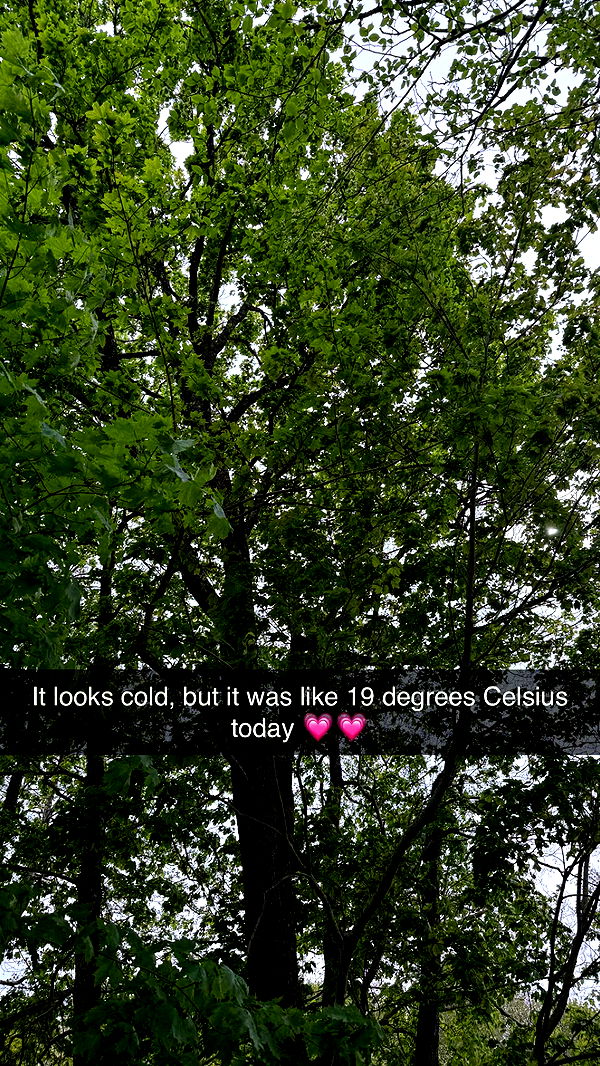 mathilda_bergs image ~ Altpins