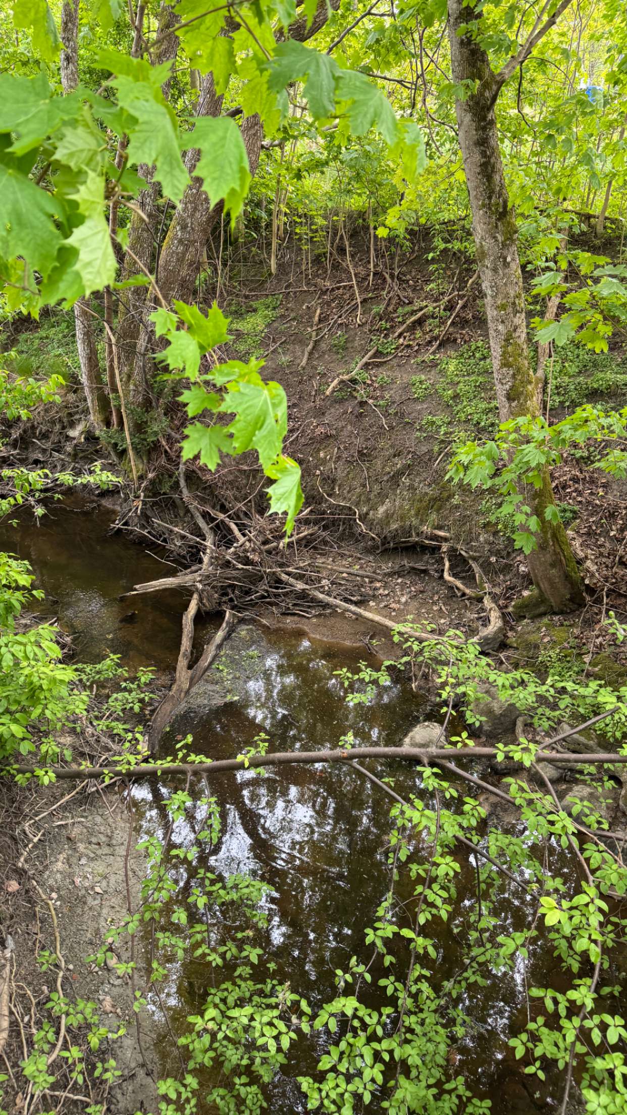 mathilda_bergs snapchat image archive image