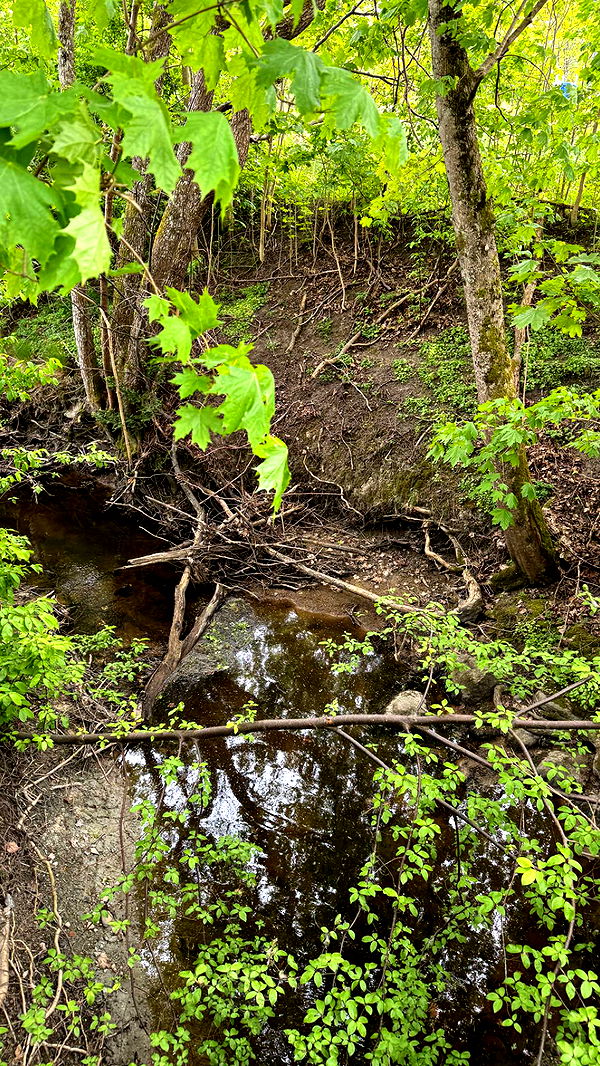 mathilda_bergs image ~ Altpins