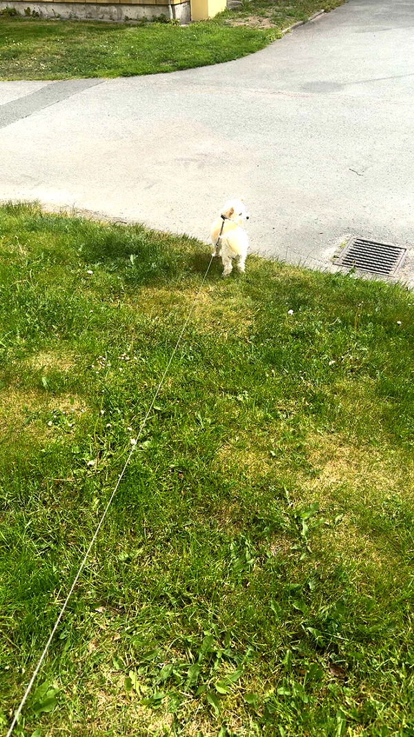 mathilda_bergs image ~ Altpins