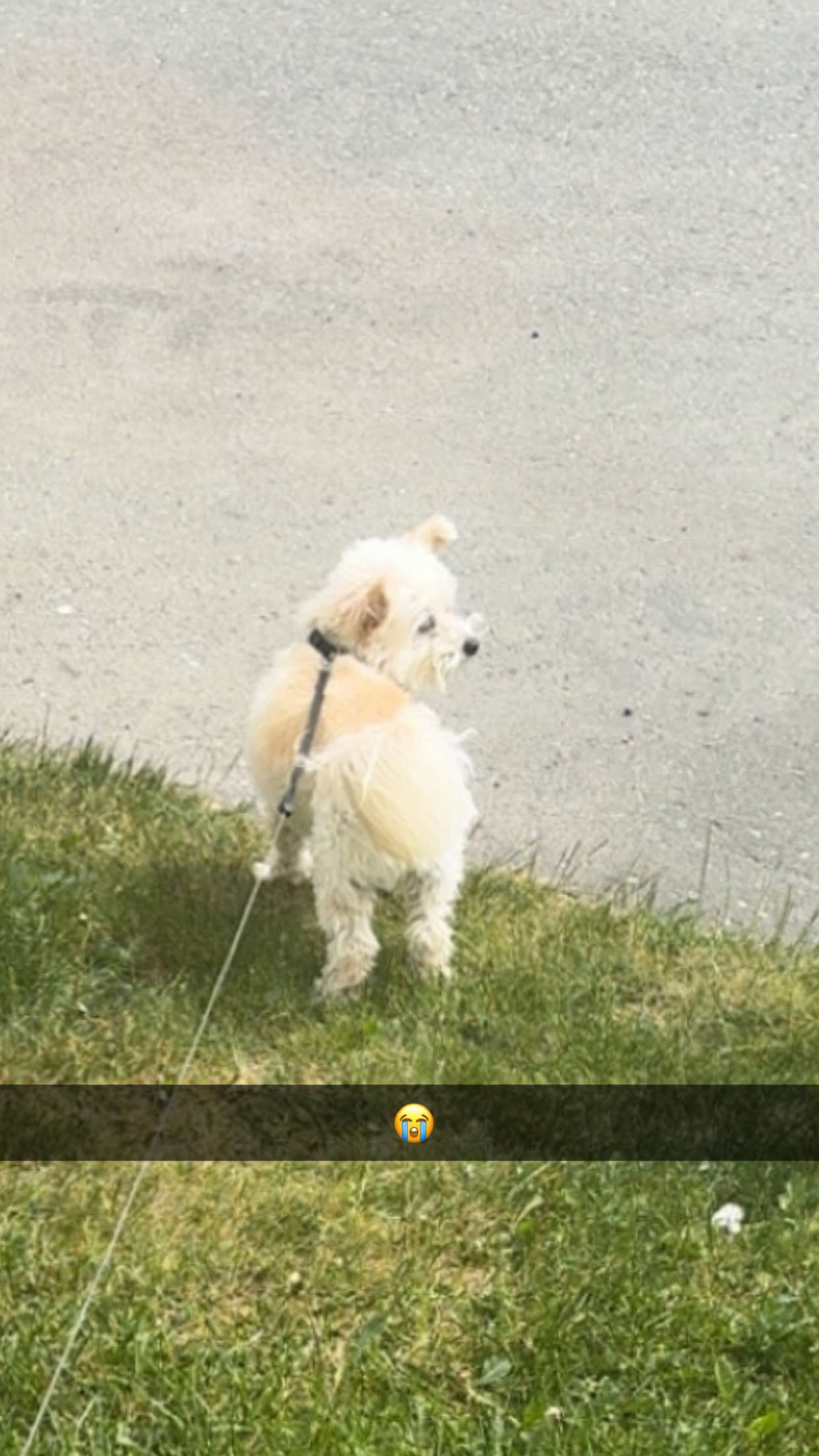 mathilda_bergs snapchat image archive image