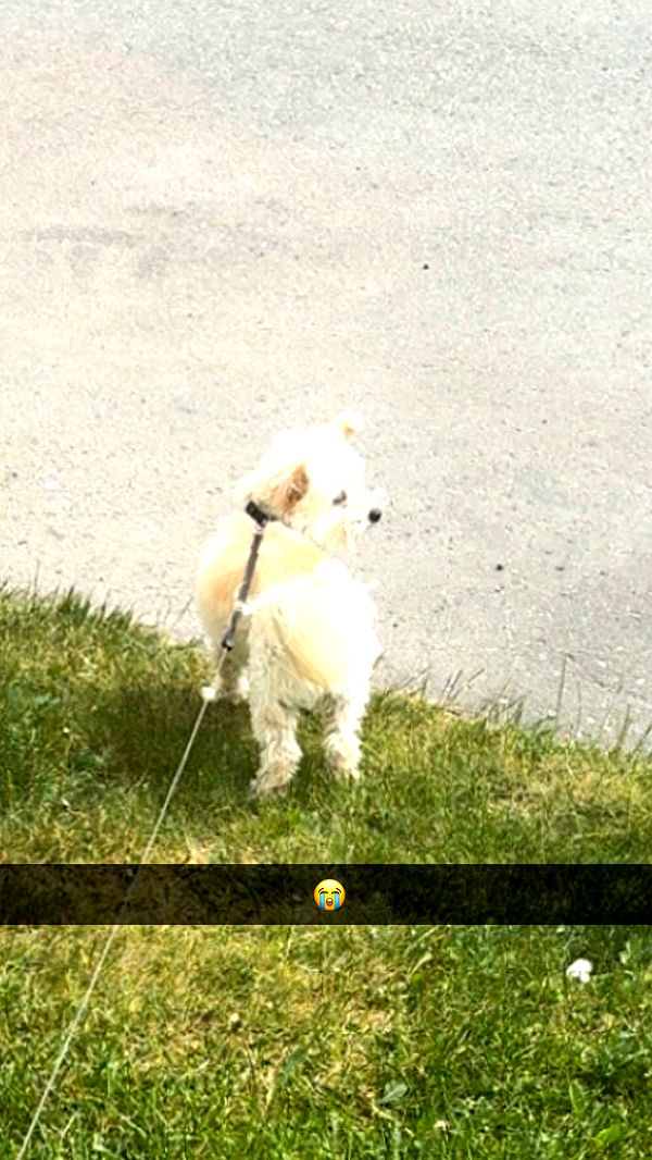 mathilda_bergs image ~ Altpins