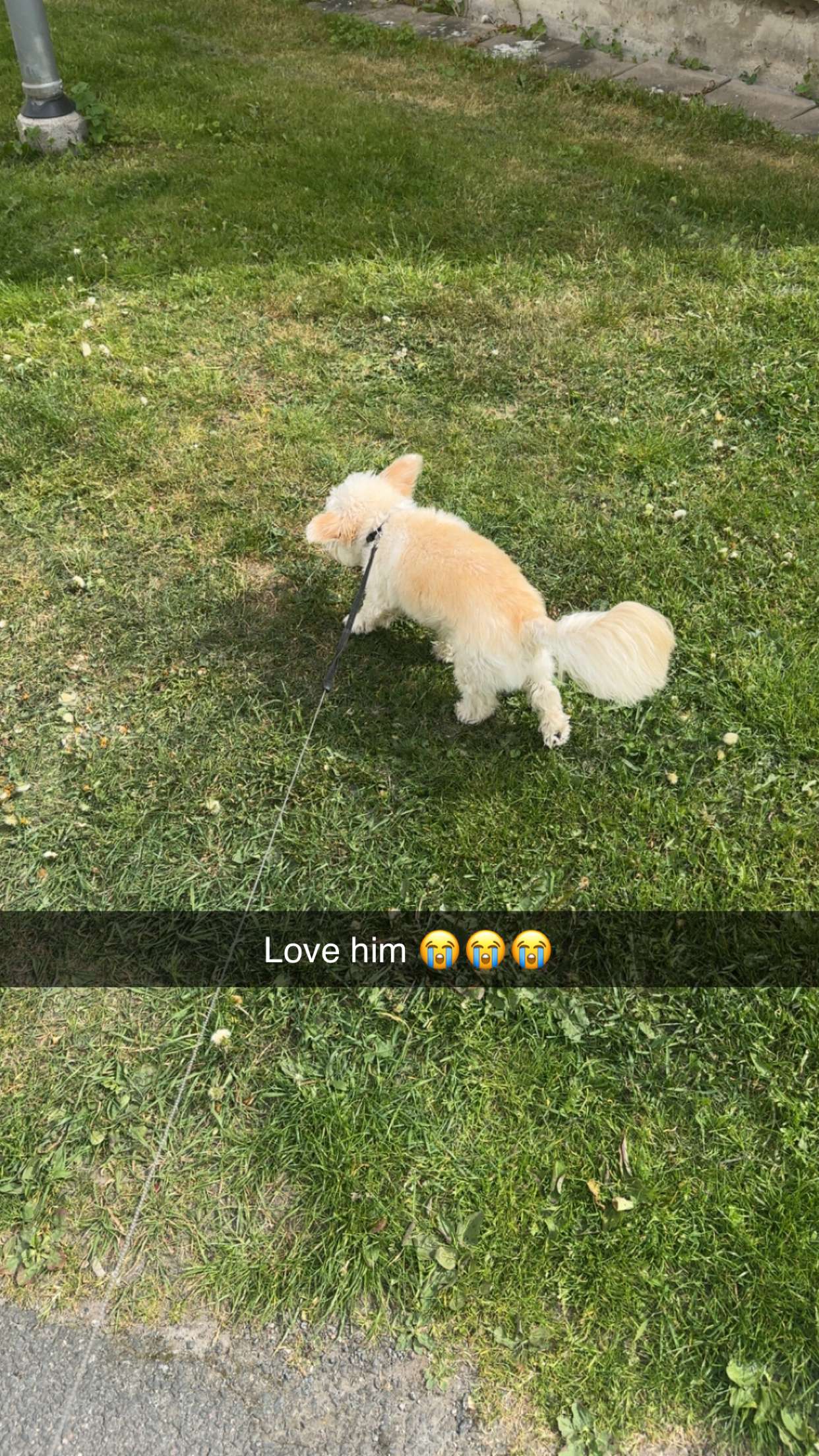 mathilda_bergs snapchat image archive image