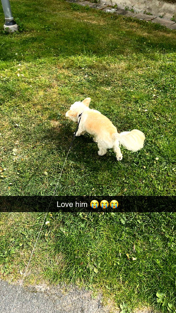 mathilda_bergs image ~ Altpins