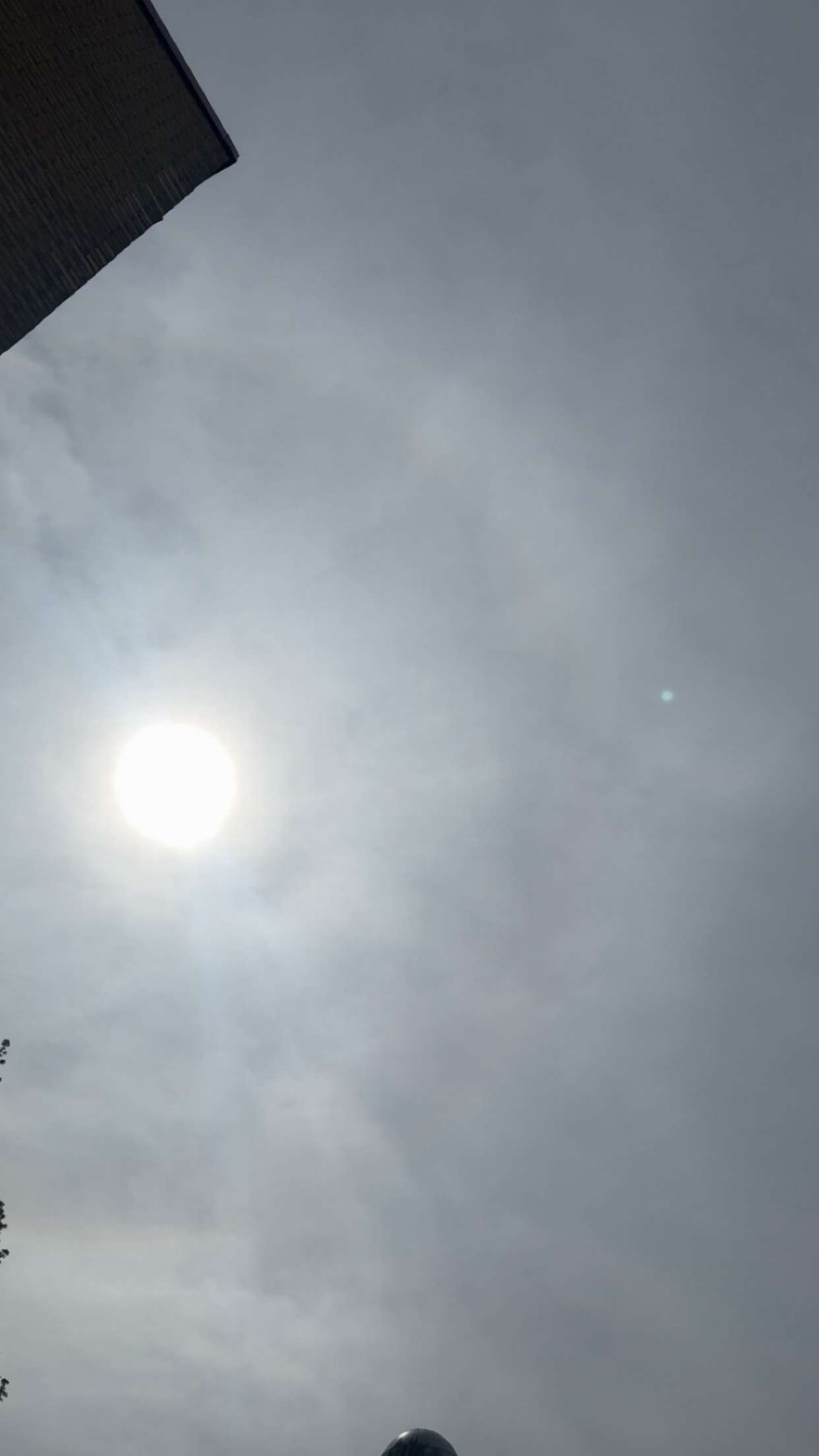 mathilda_bergs snapchat image archive image