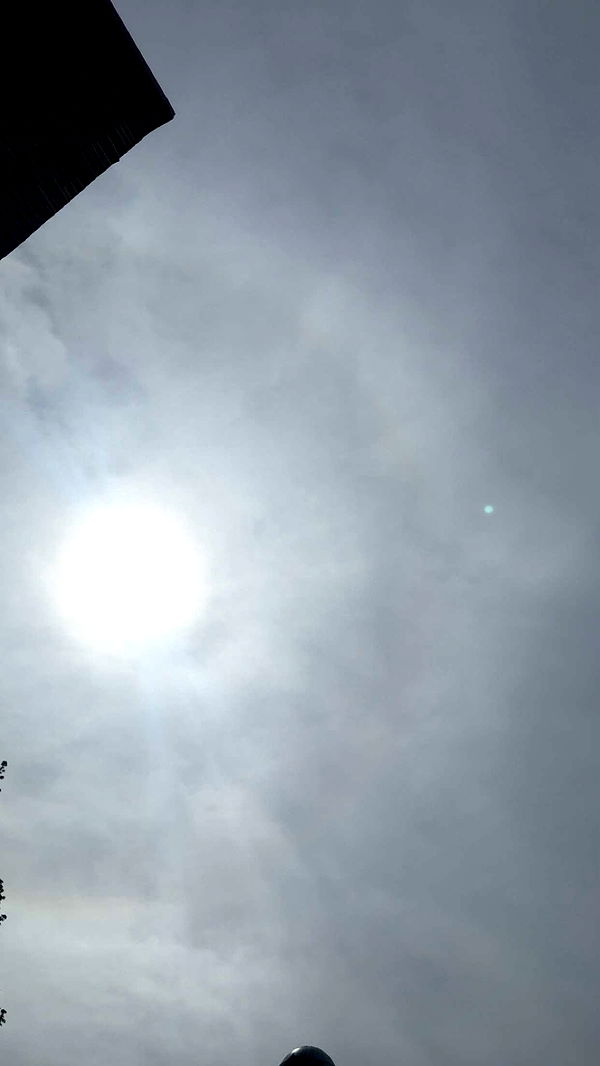 mathilda_bergs image ~ Altpins