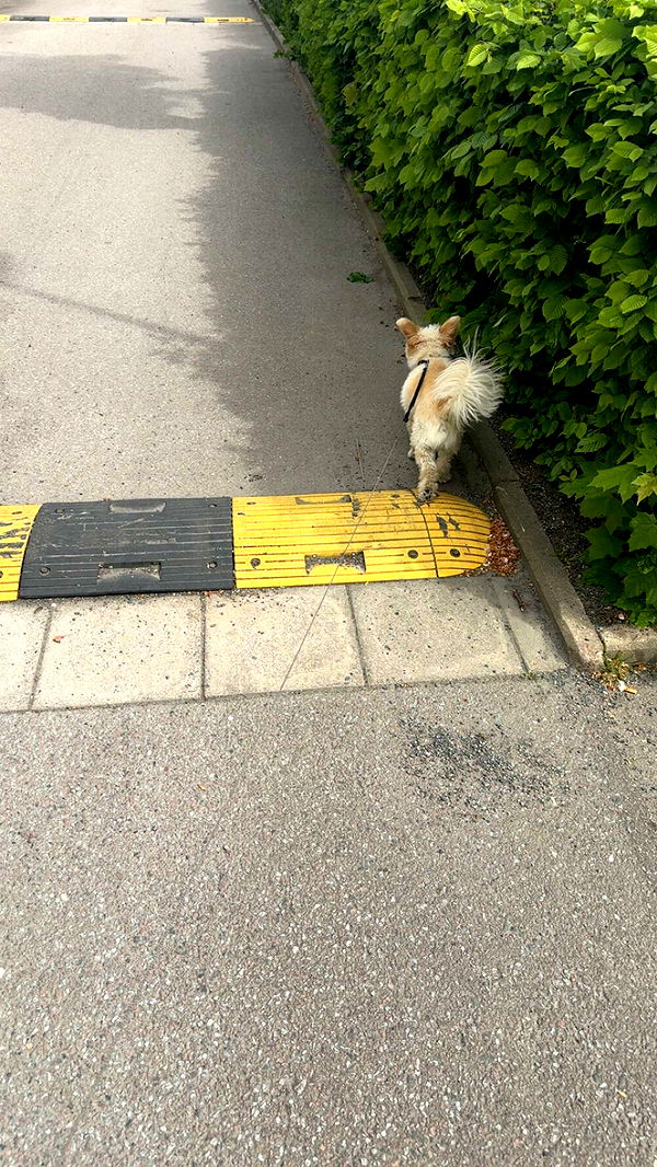 mathilda_bergs image ~ Altpins