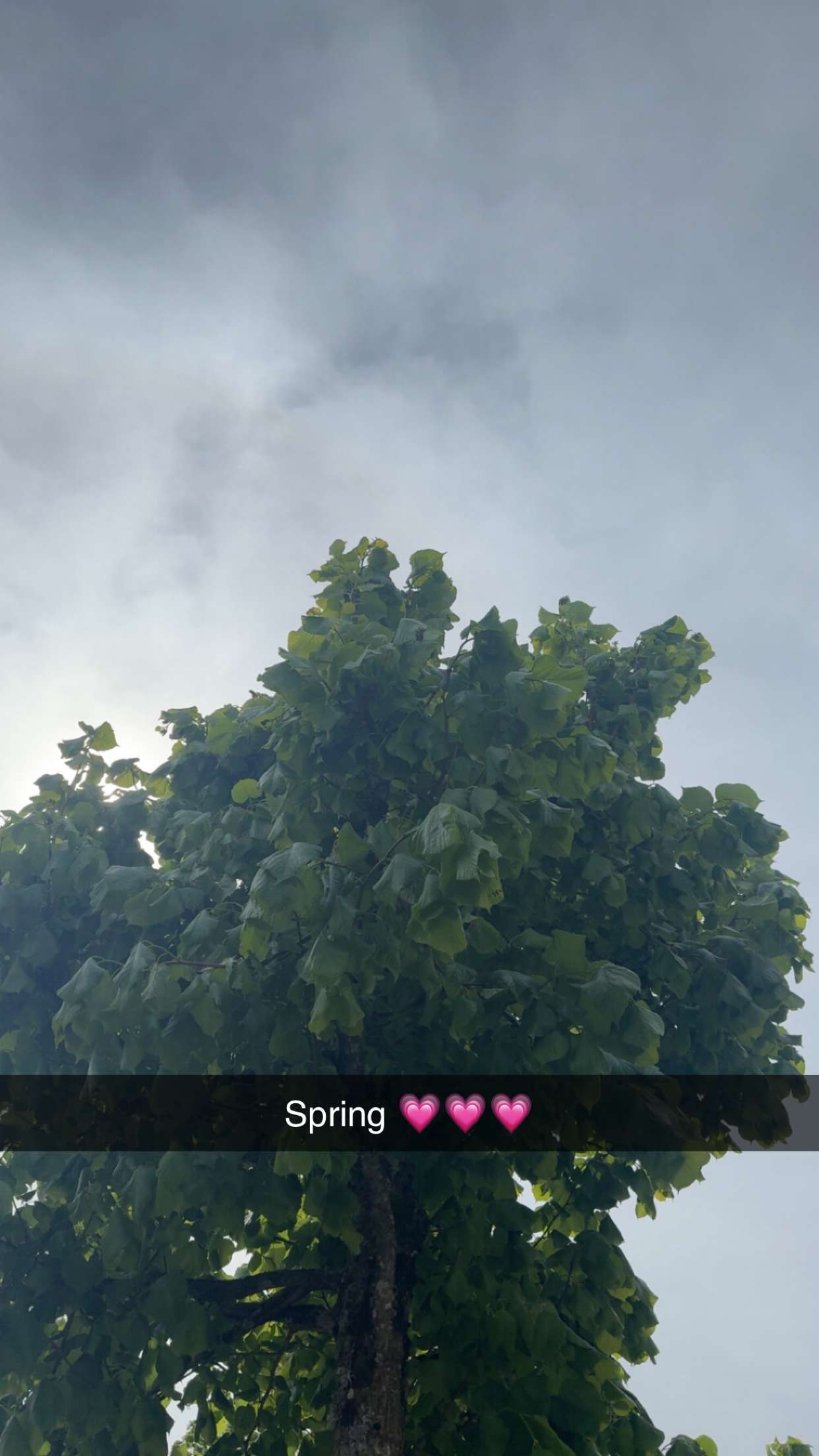 mathilda_bergs snapchat image archive image