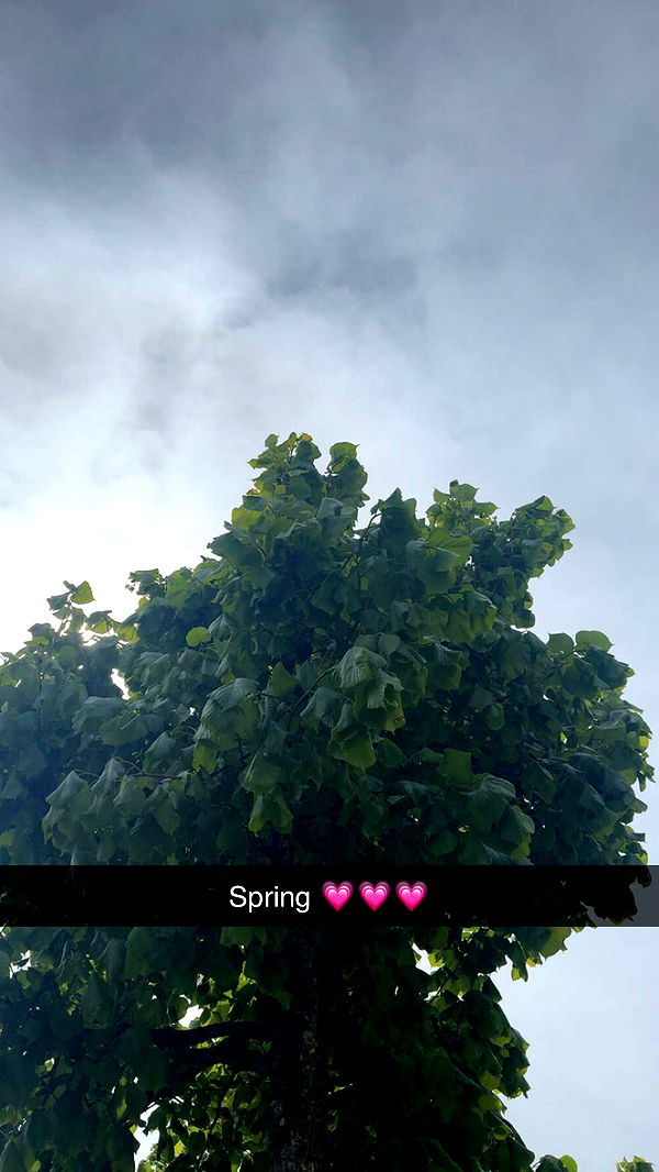 mathilda_bergs image ~ Altpins