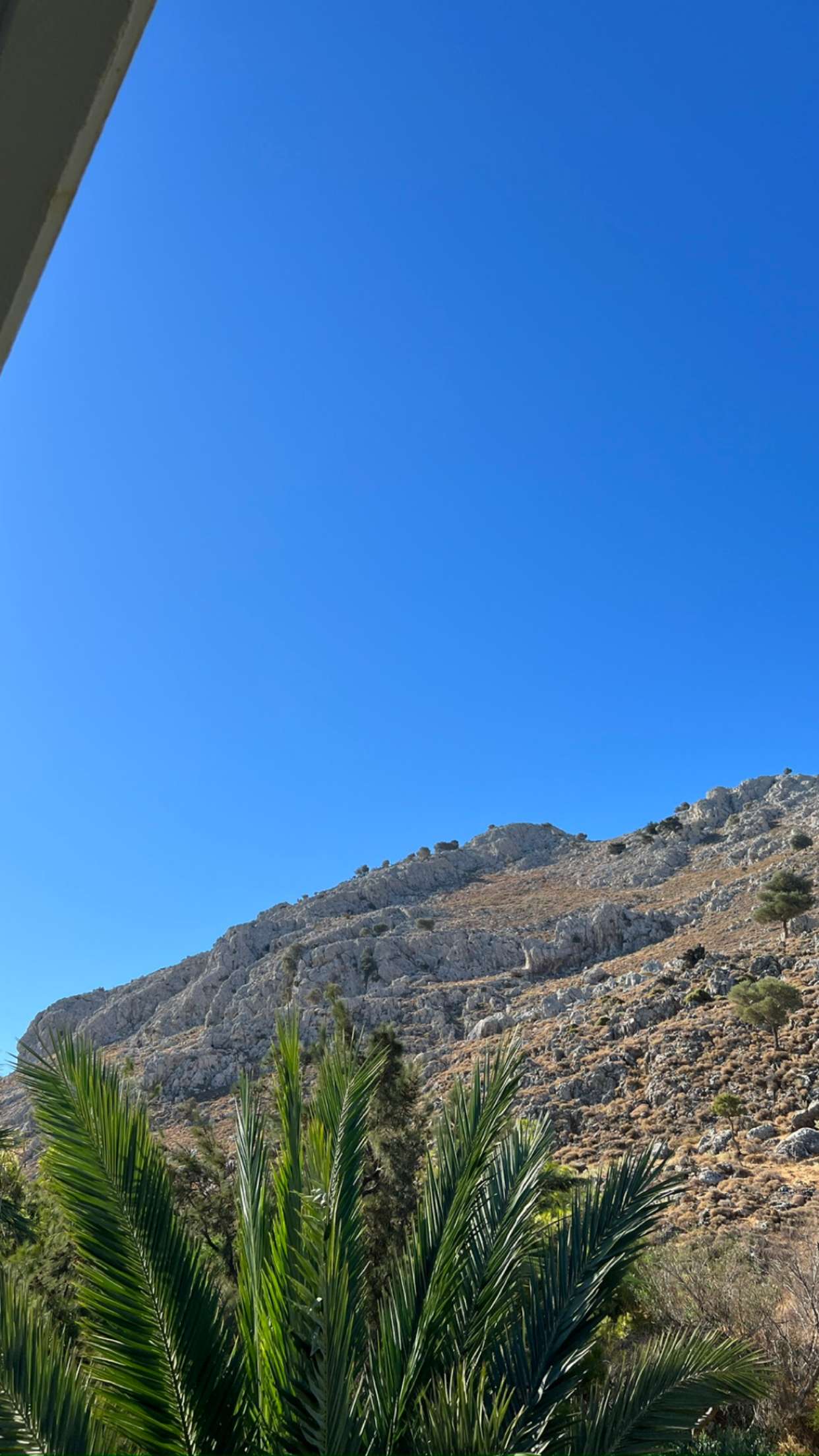 mathilda_bergs snapchat image archive image