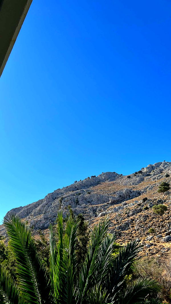 mathilda_bergs image ~ Altpins