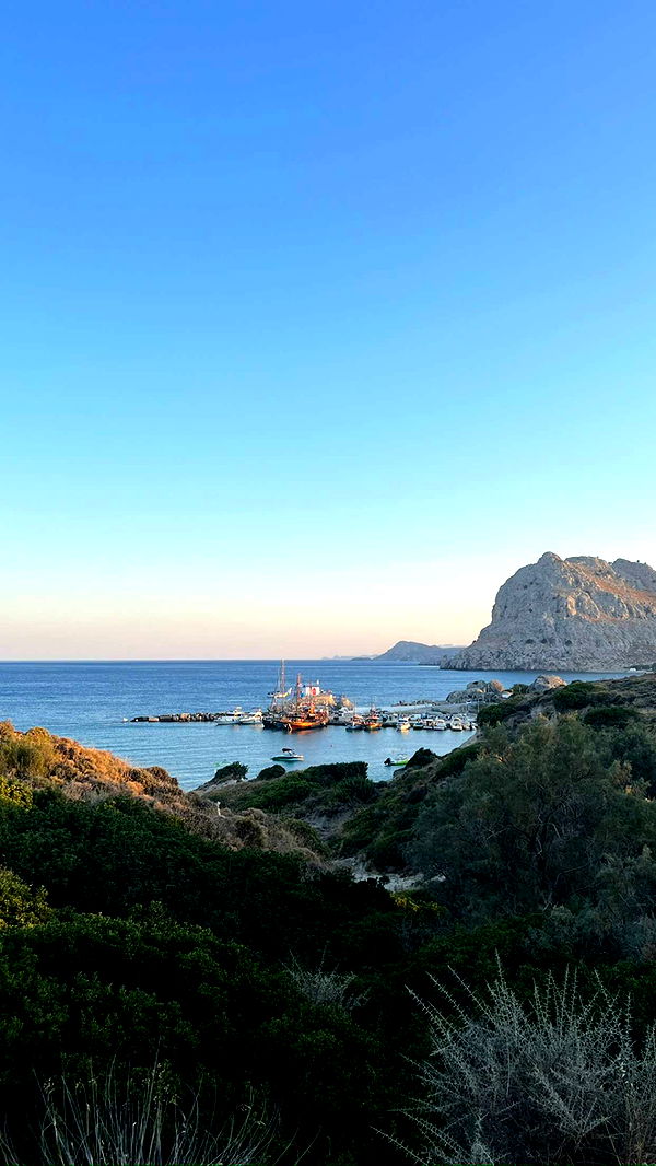 mathilda_bergs image ~ Altpins