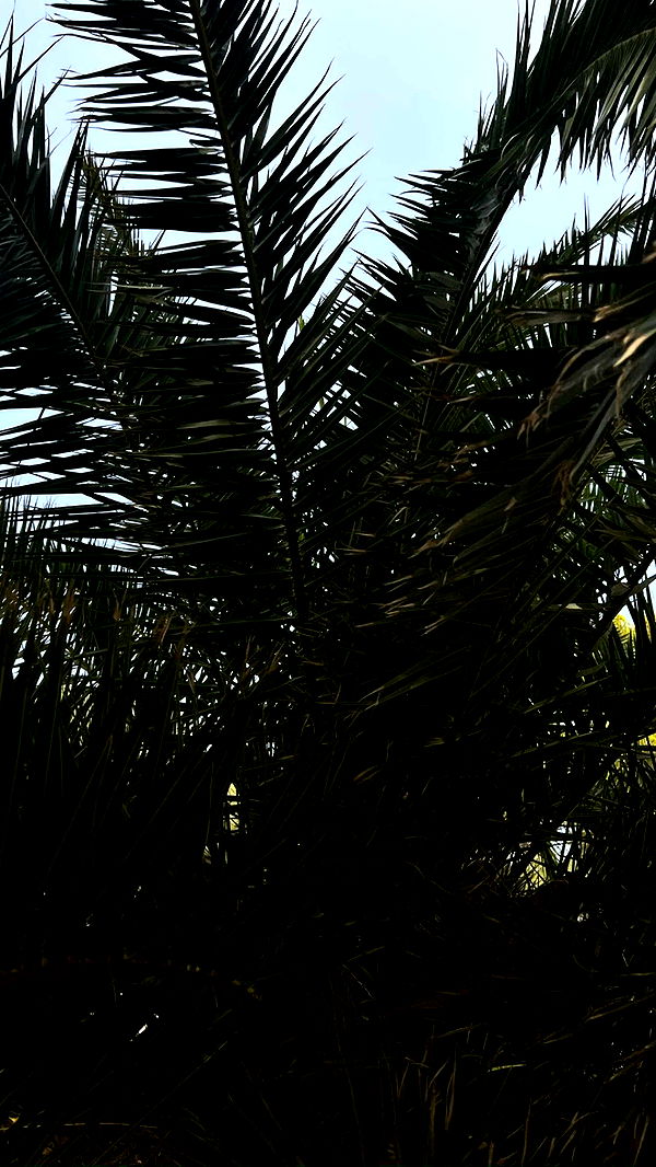 mathilda_bergs image ~ Altpins