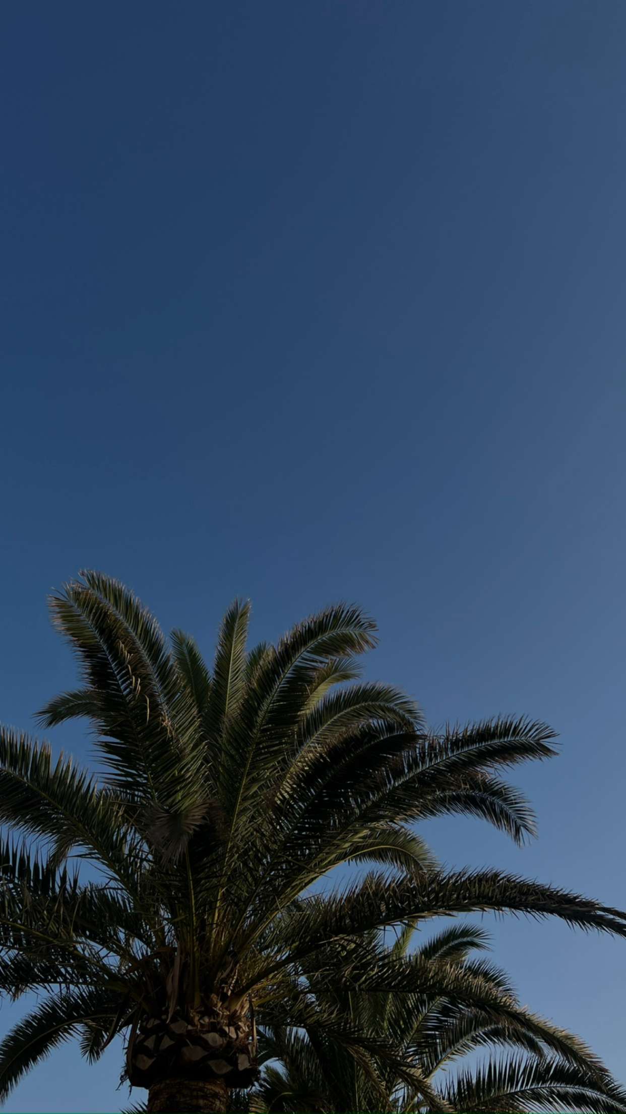 mathilda_bergs snapchat image archive image