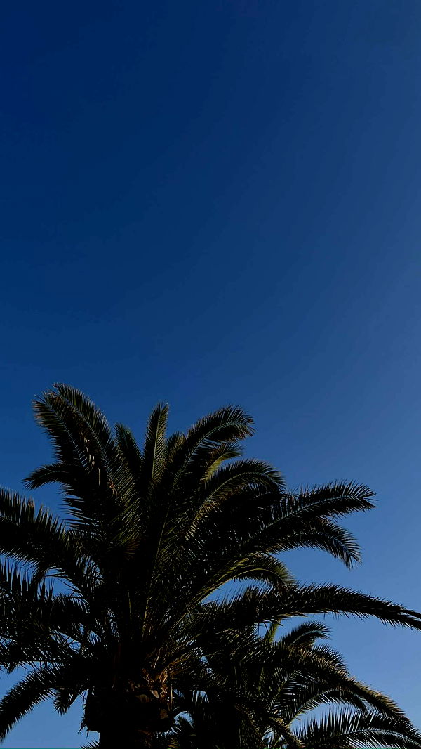 mathilda_bergs image ~ Altpins