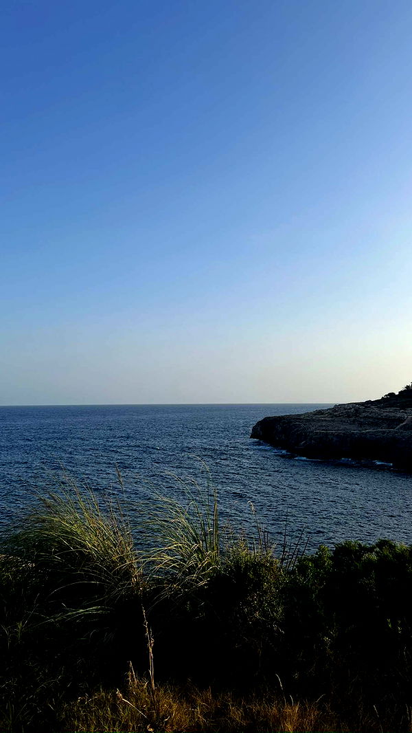 mathilda_bergs image ~ Altpins